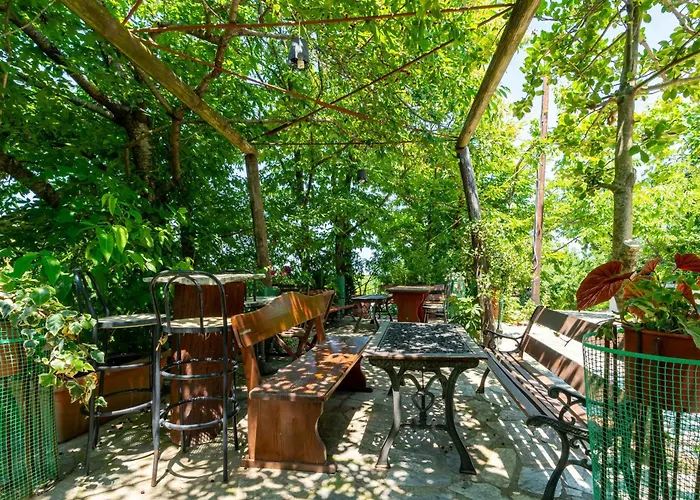 Papachristou تساغارادا